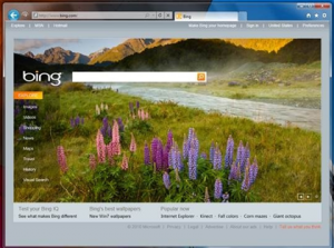 IE9 Screenshot